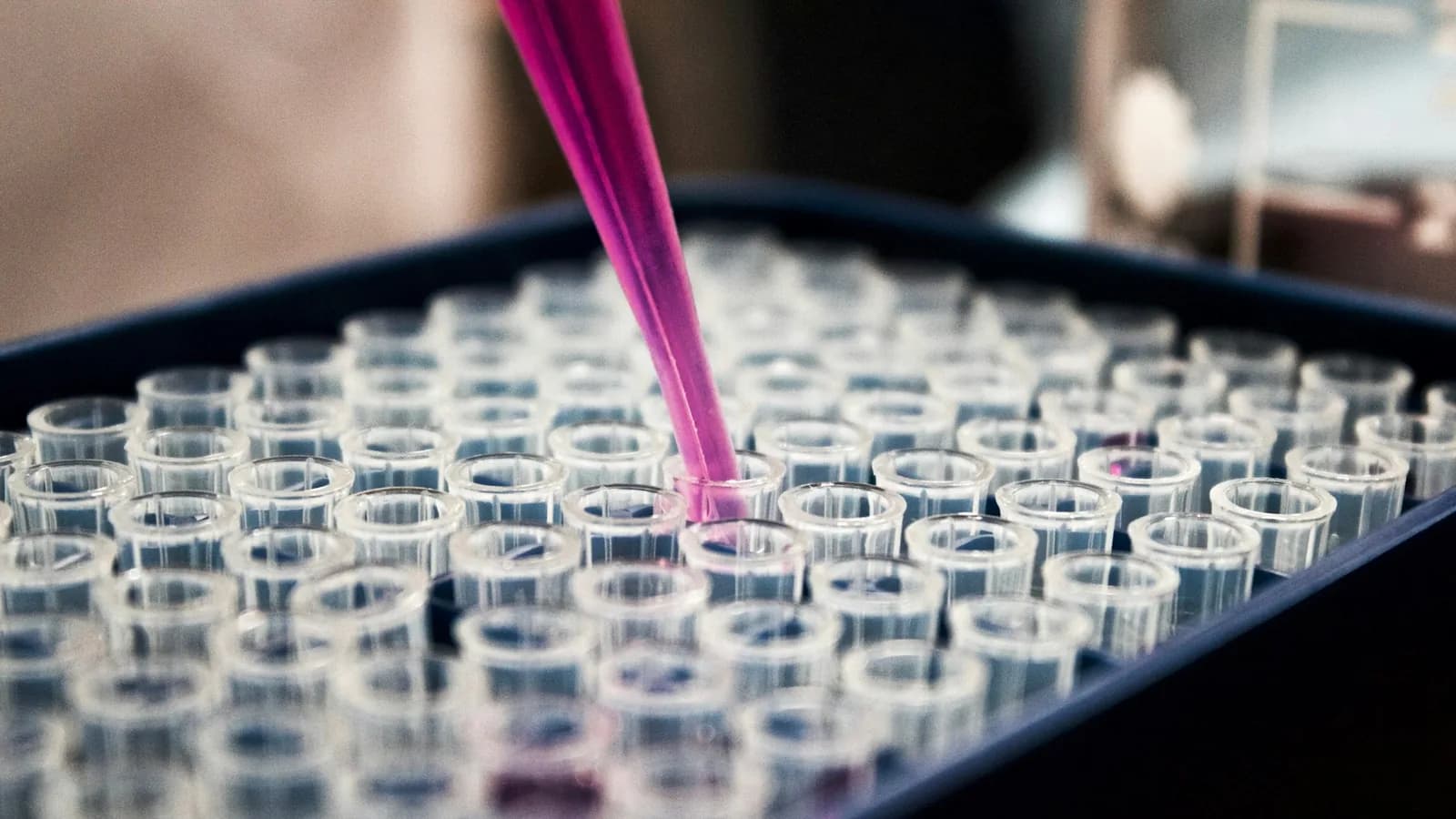 A chemist reviews molecular structures on a large display in a modern lab